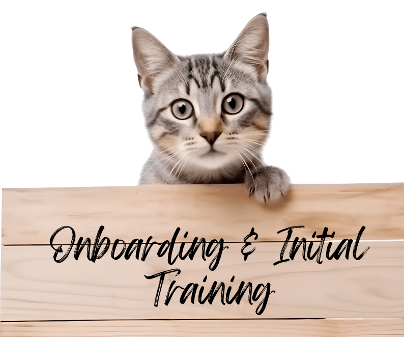 A picture of a tabby cat holding a sign that says "Onboarding and Initial Training"